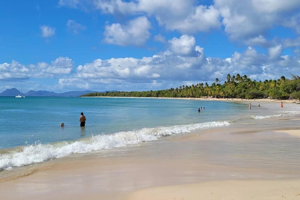 Ti-Ti Diamant Studio Plage Du Diamant 2 Pers Clim Wifi Le Diamant Exterior photo